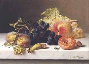 Johann Wilhelm Preyer Grapes peaches and plums on a marble ledge oil painting reproduction